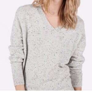 Everlane Cashmere V-Neck Sweater